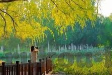 世界杯巴西1比7视频-巴西1比7惨败德国，一场震惊世界的足球悲剧