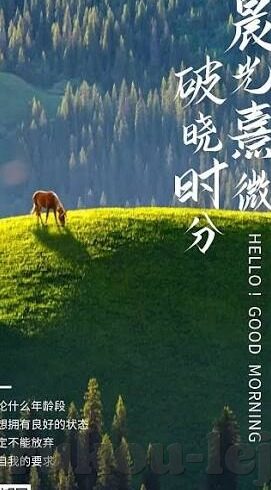 威尼斯人下载-威尼斯人下载，一场数字娱乐的奇妙之旅